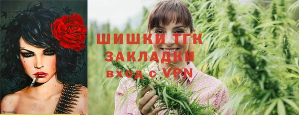 ПСИЛОЦИБИНОВЫЕ ГРИБЫ Алзамай