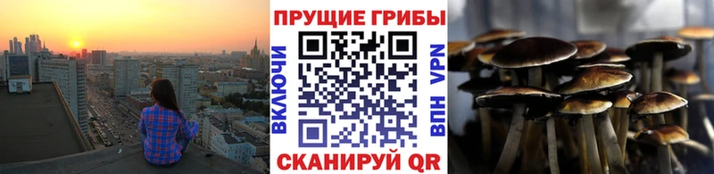 Галлюциногенные грибы ЛСД  МЕГА ССЫЛКА  Темрюк 